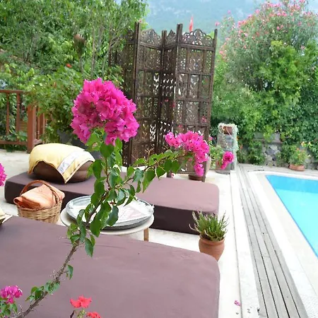 Guest house Beydagi 3*