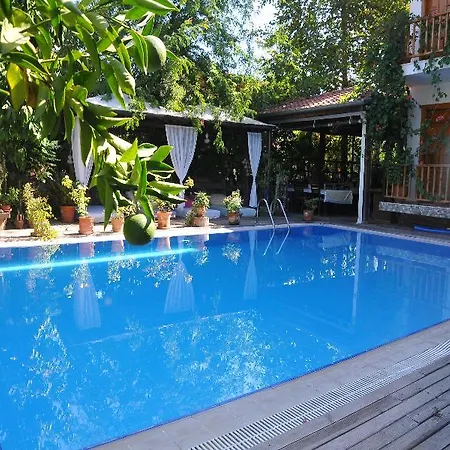 Guest house Beydagi 3*