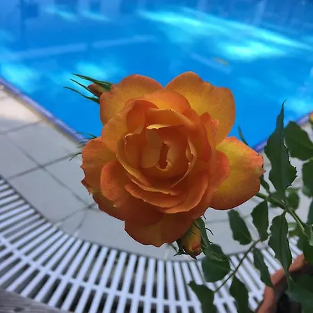 Guest house Beydagi Kemer