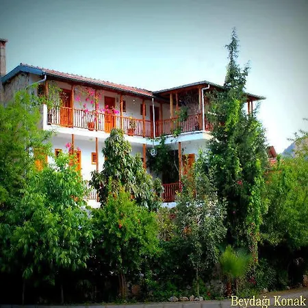 Guest house Beydagi 3*