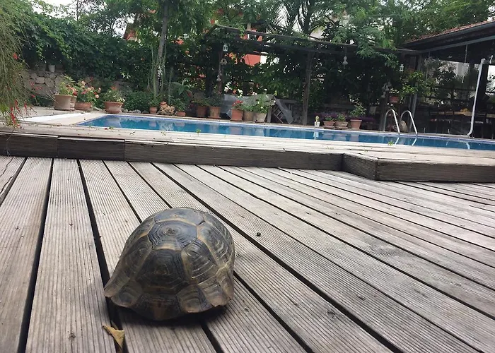 Pensjonat Beydagi 3*