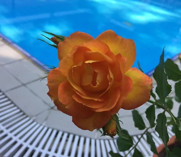 Pensjonat Beydagi Kemer