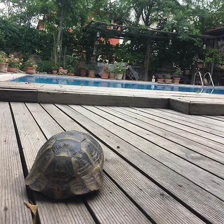 게스트하우스 Beydagi 3*